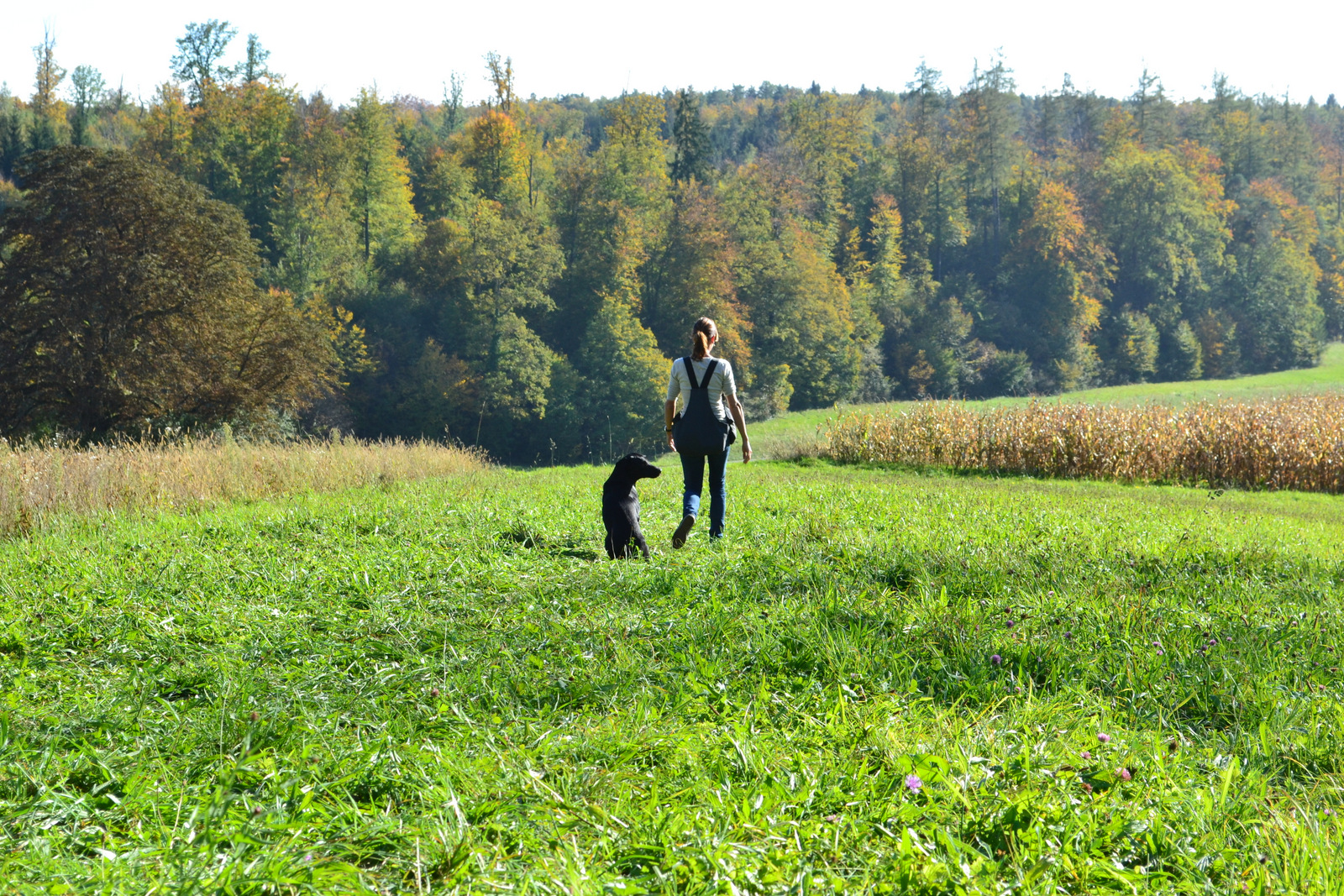 Seminar Jörg 19.10 015